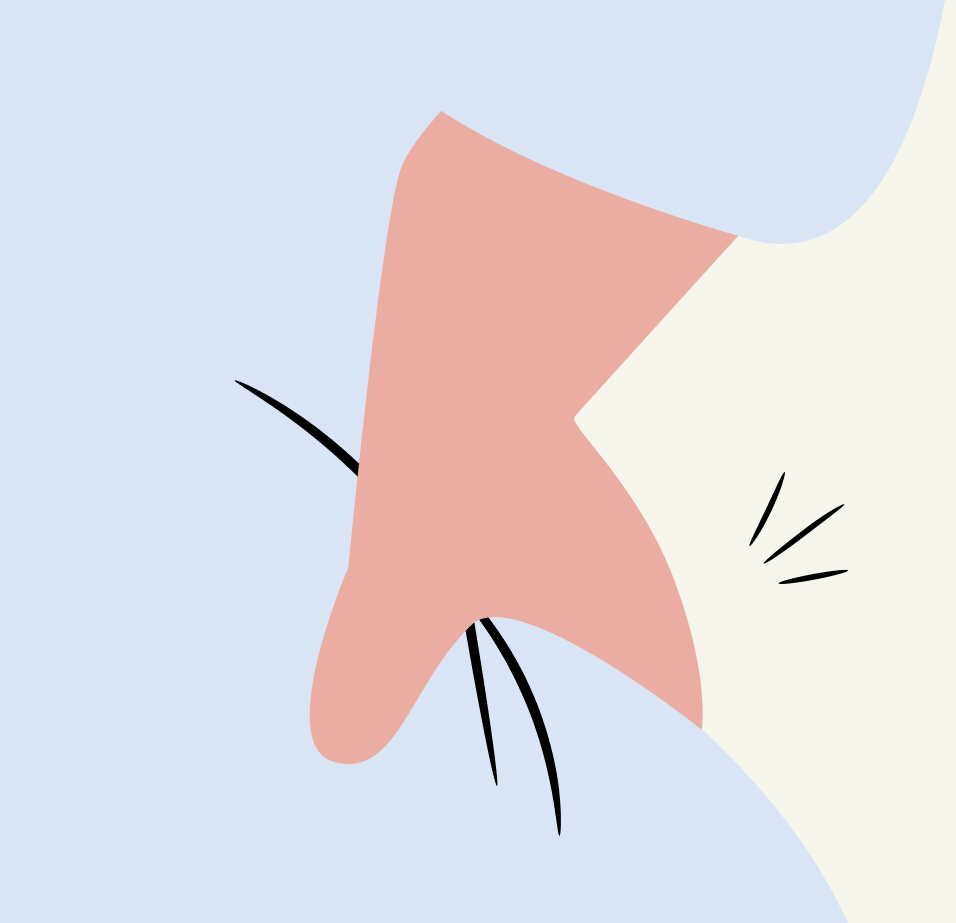 Doctolib 03